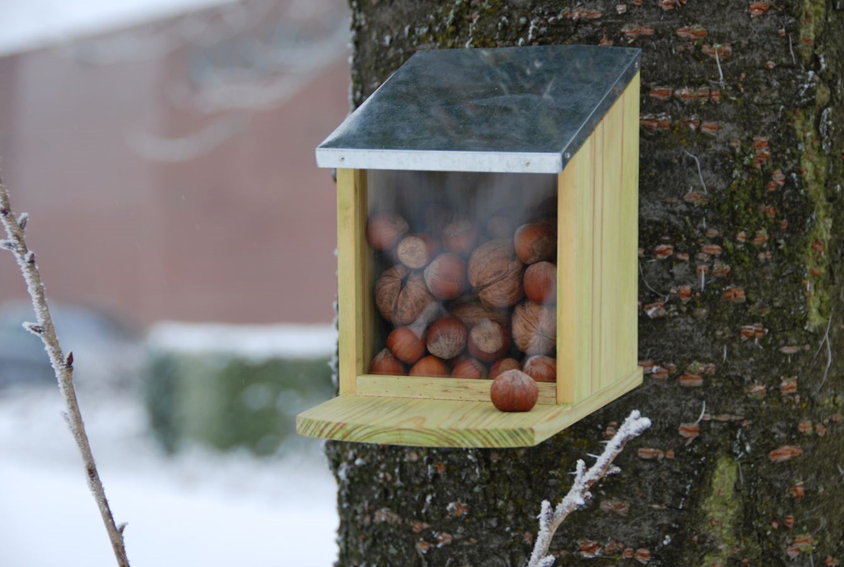 Eekhoorn-voederhuisje-Best-for-Birds