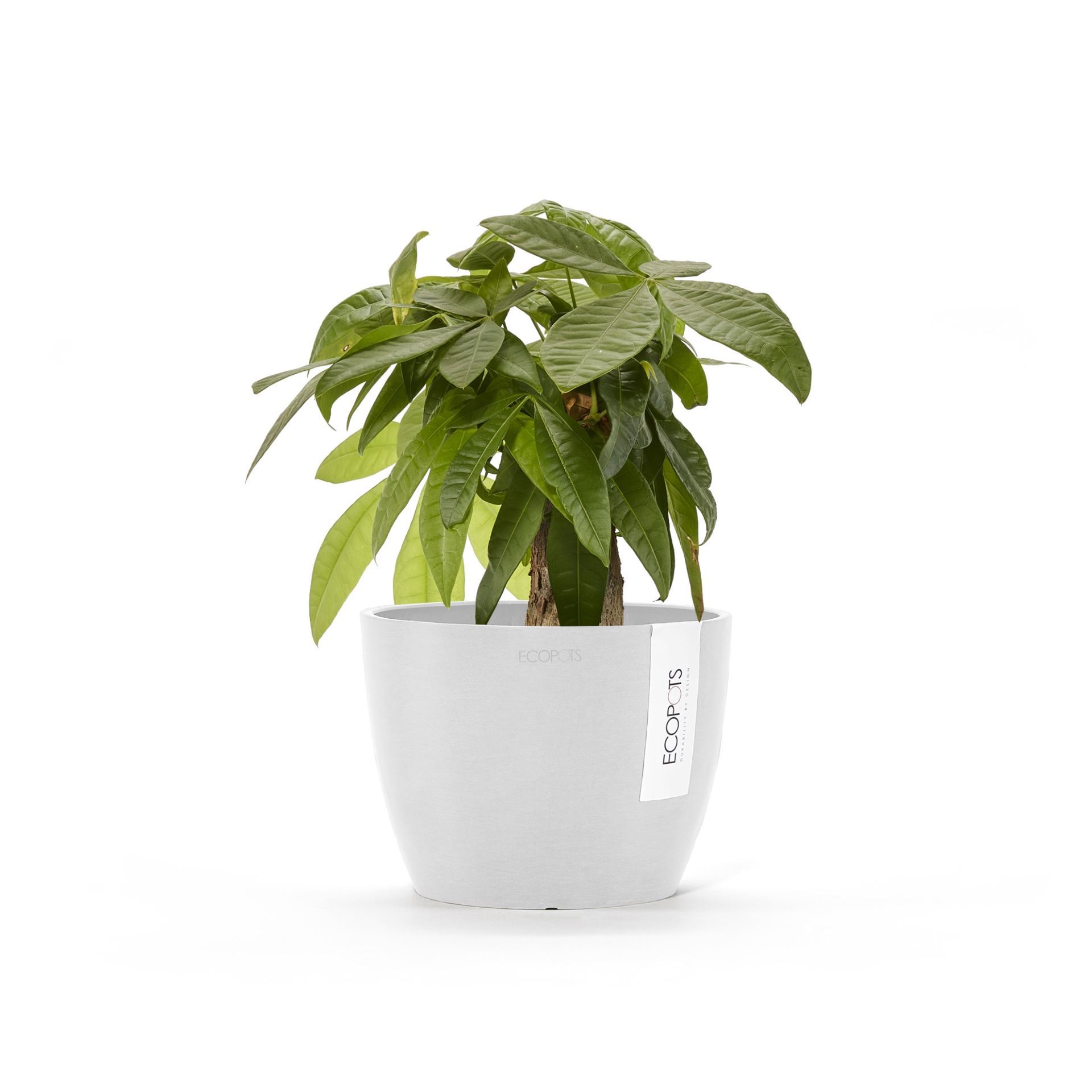 Ecopots-stockholm-mini-pure-white-16-cm-H12-5-cm
