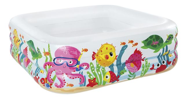 sea-aquarium-pool-ages-3-shelf-box