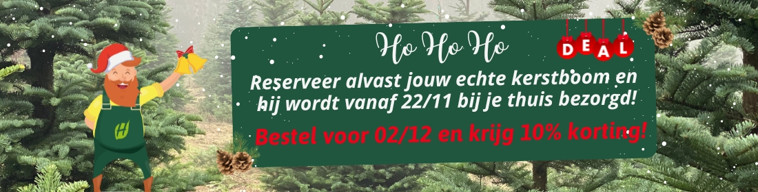 korting echte kerstboom