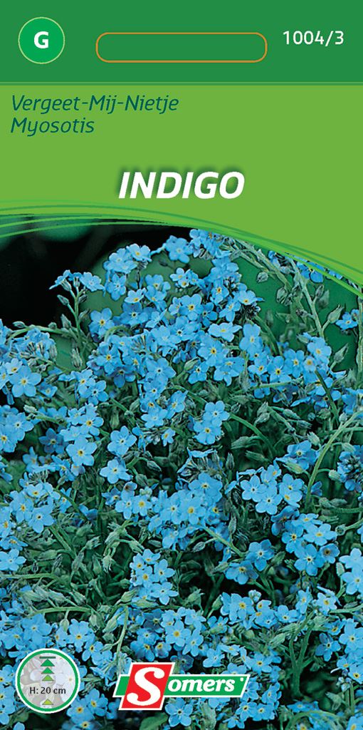myosotis-alpestr-indigo-vergee