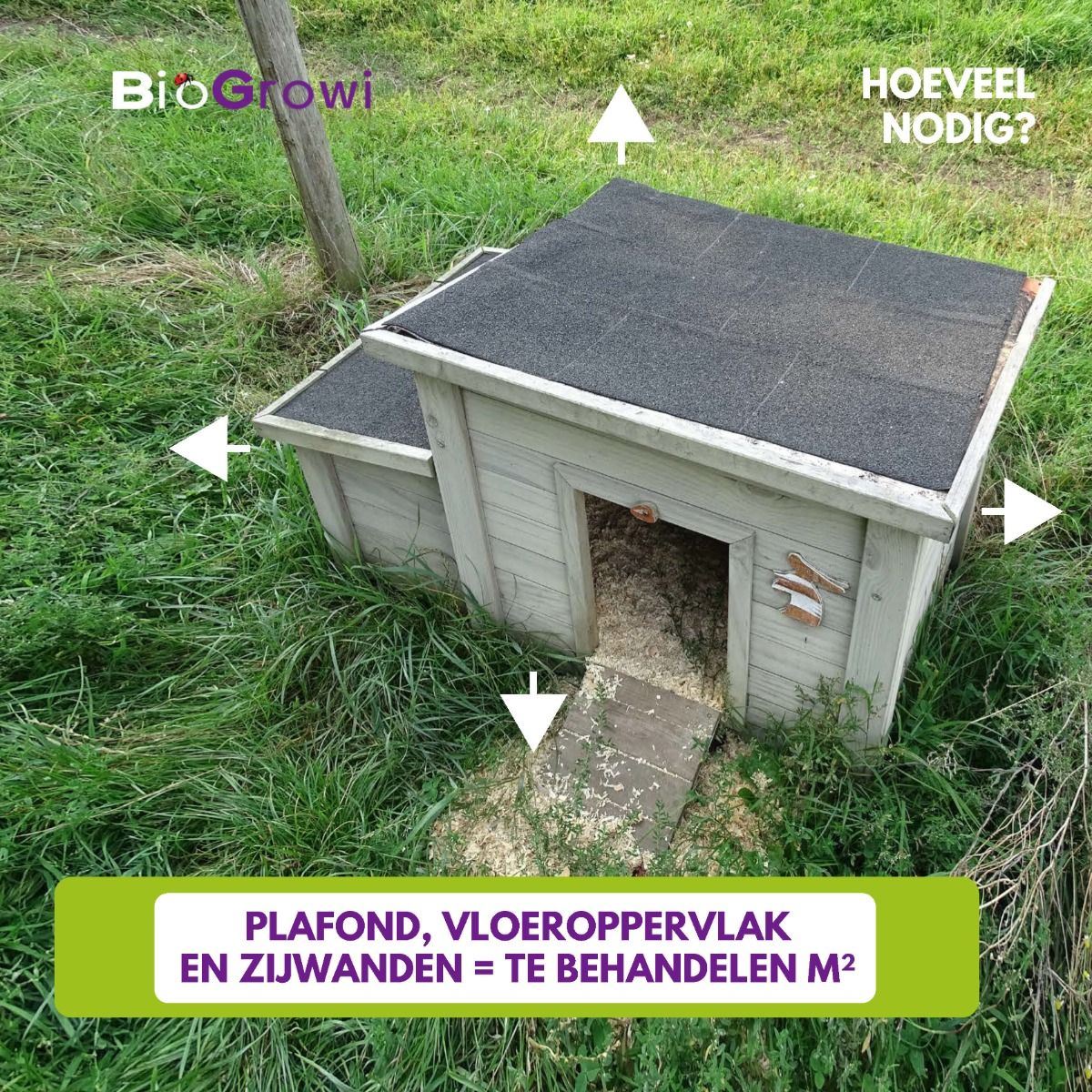 Chicken-heppie-10m-10-000-stuks-roofmijten-tegen-bloedluizen-bij-kippen-en-duiven