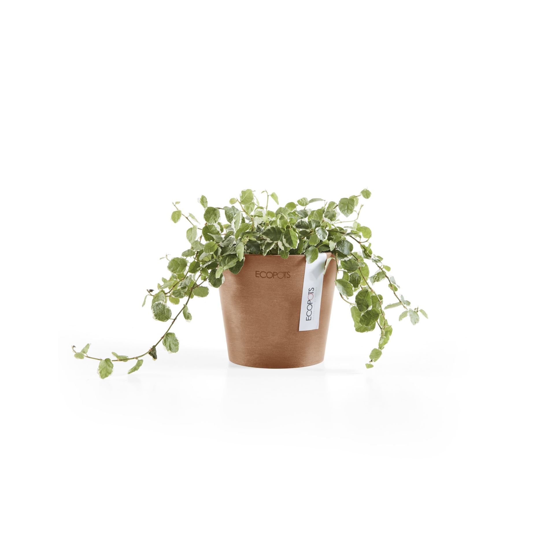 Ecopots-amsterdam-mini-terra-10-5-cm-H9-2-cm