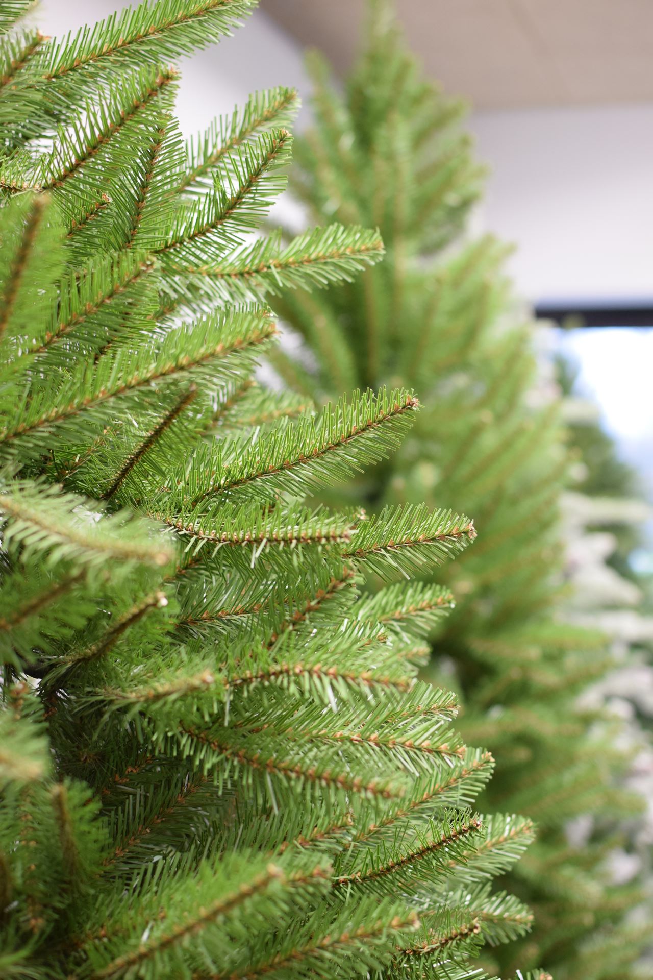Dunhill-Fir-Hinged-h213cm