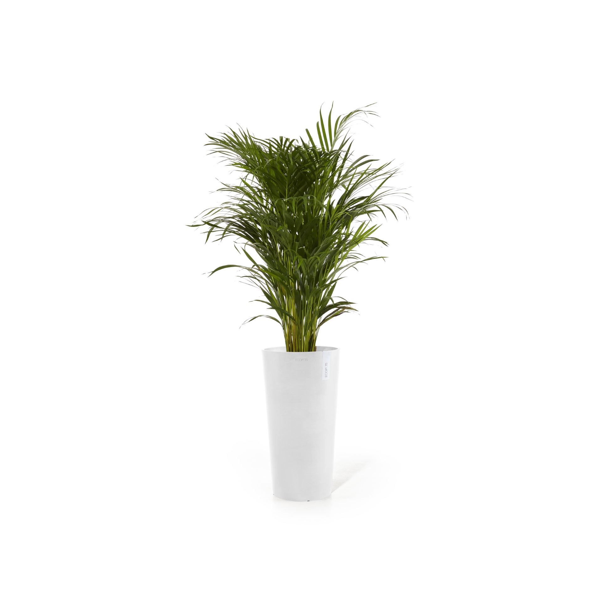 ecopots-Amsterdam-Mid-High-Pure-White-34-cm-H66-cm