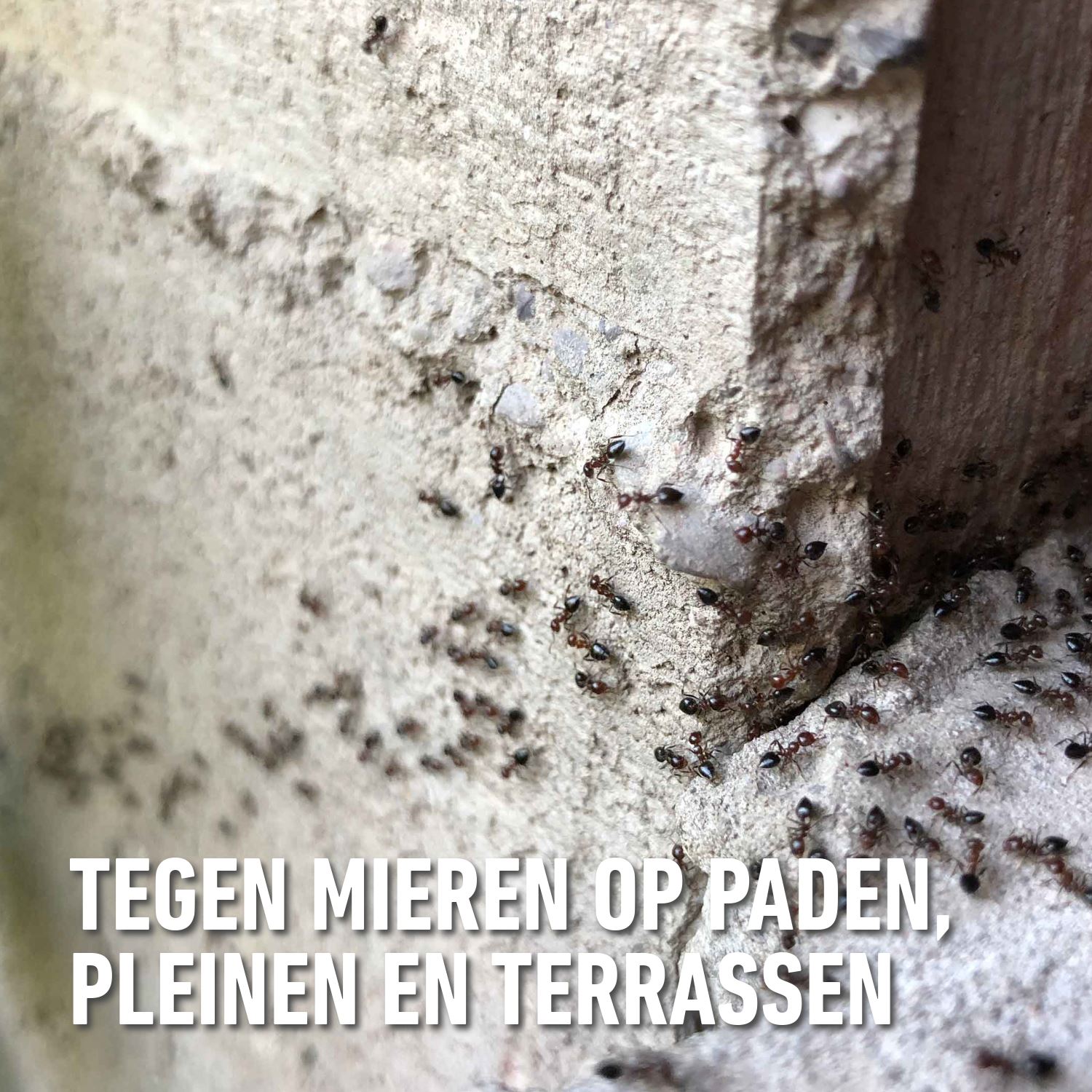 Barriere-insect-mirazyl-gran-400gr