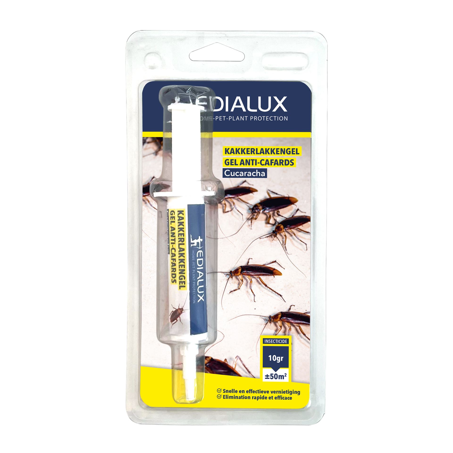 Cucaracha-kakkerlakkengel-1st