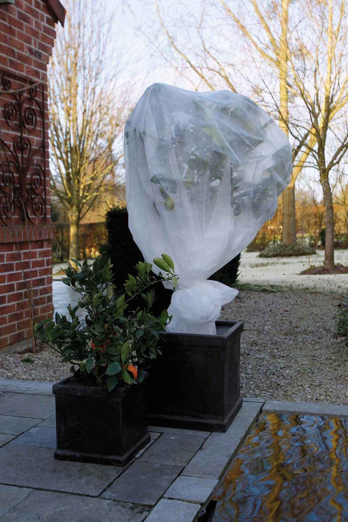 Nature vorstbeschermhoes - 30gr/m² - 1x10 m - wit