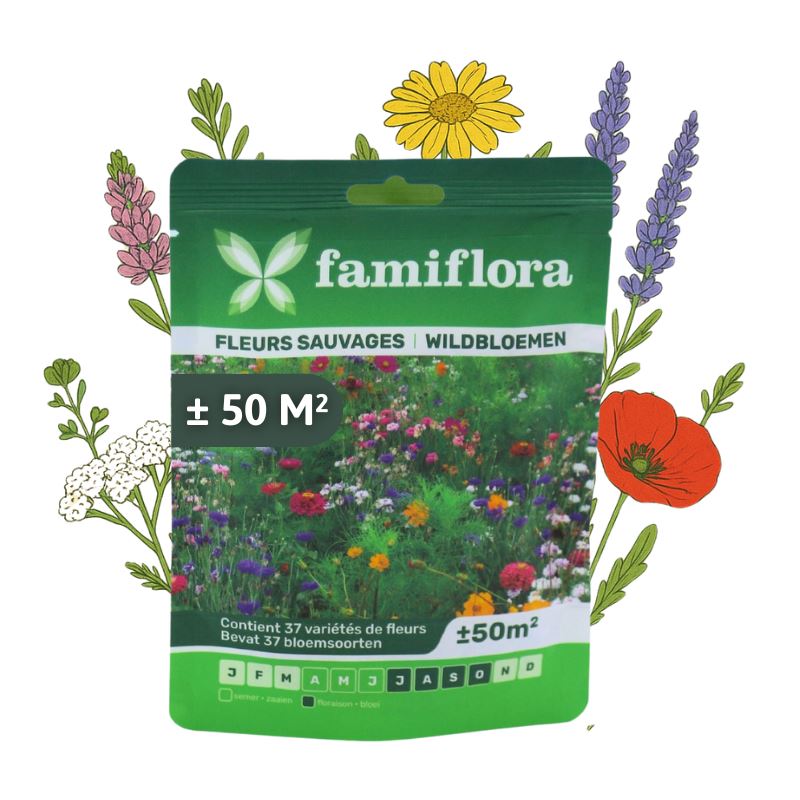 Famiflora wildbloemenmengsel bloemenzaden - tot 50m²