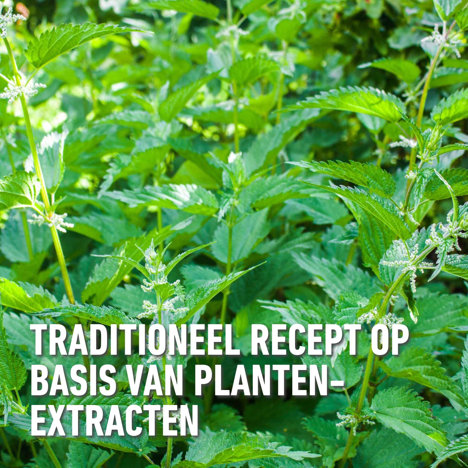 Compo-bio-brandnetelgier-1-5L