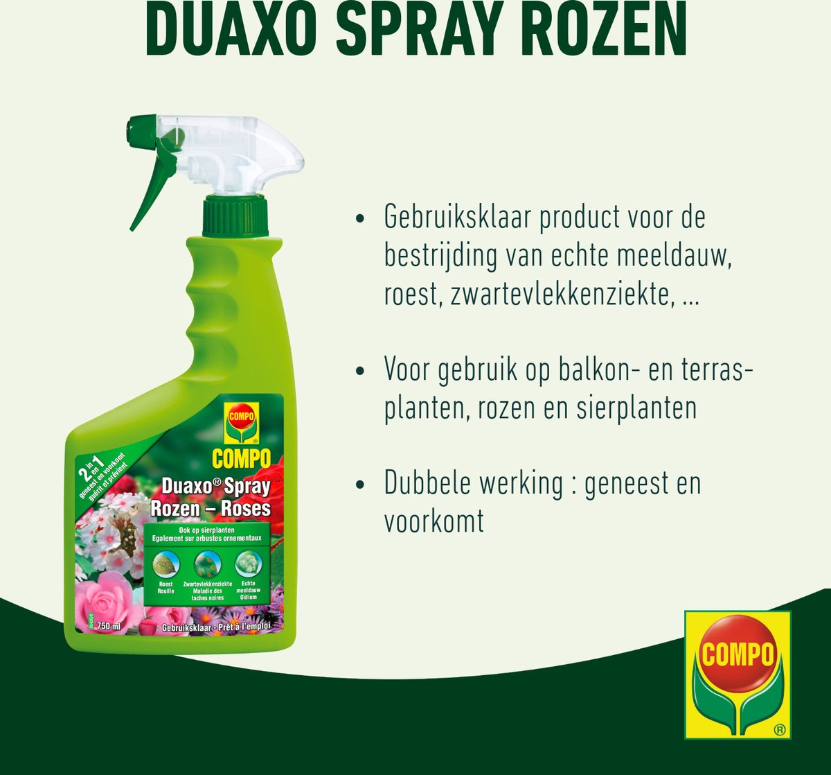 Compo duaxo spray roses - 750ml