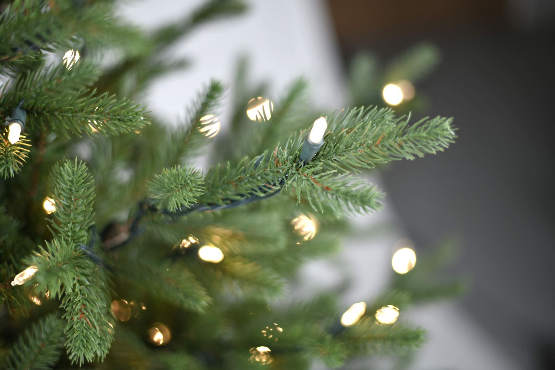 Goteborg-LB-Base-h306cm-1200L-PTP-2-boxes