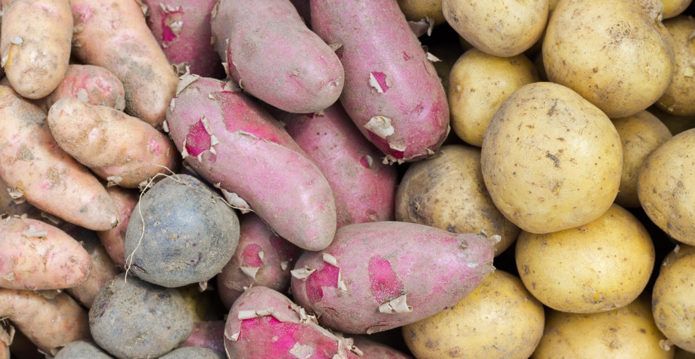 Potatoes various colours