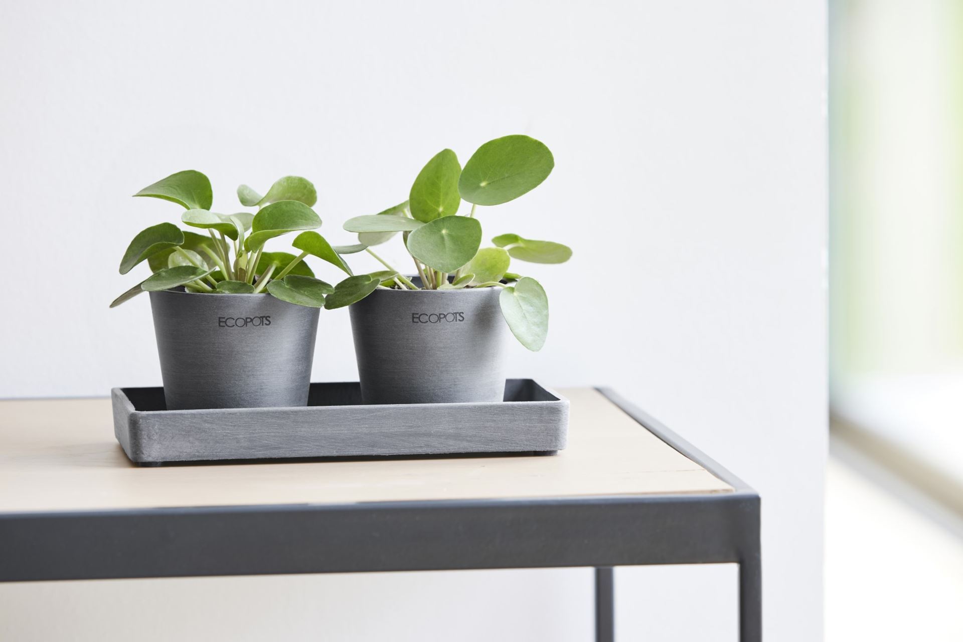 Ecopots-display-platter-grey-20-LBH-20x10x2-5-cm