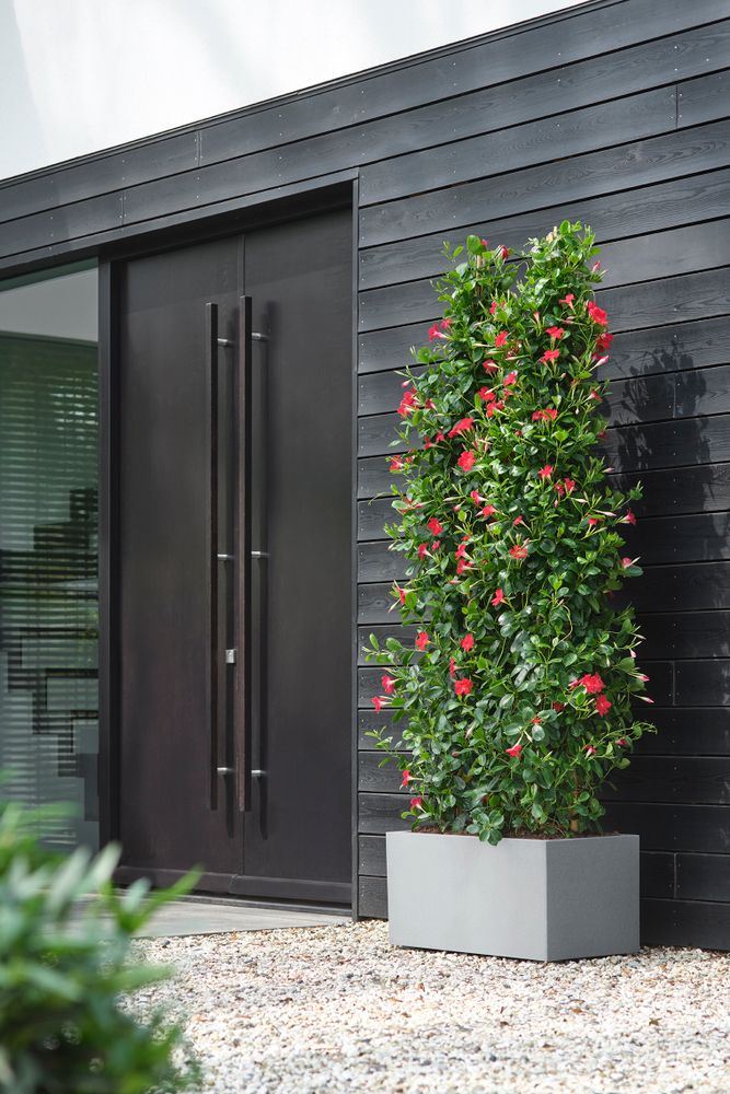 vivo-next-lang-60cm-living-concrete