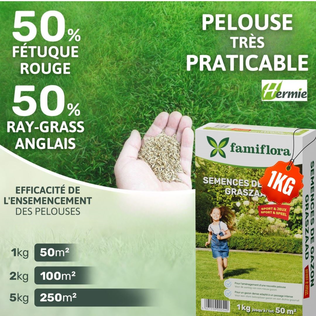 Famiflora graine de gazon Play & Sport - pour l'établissement d'un nouveau gazon - 1kg jusqu'à 50m²