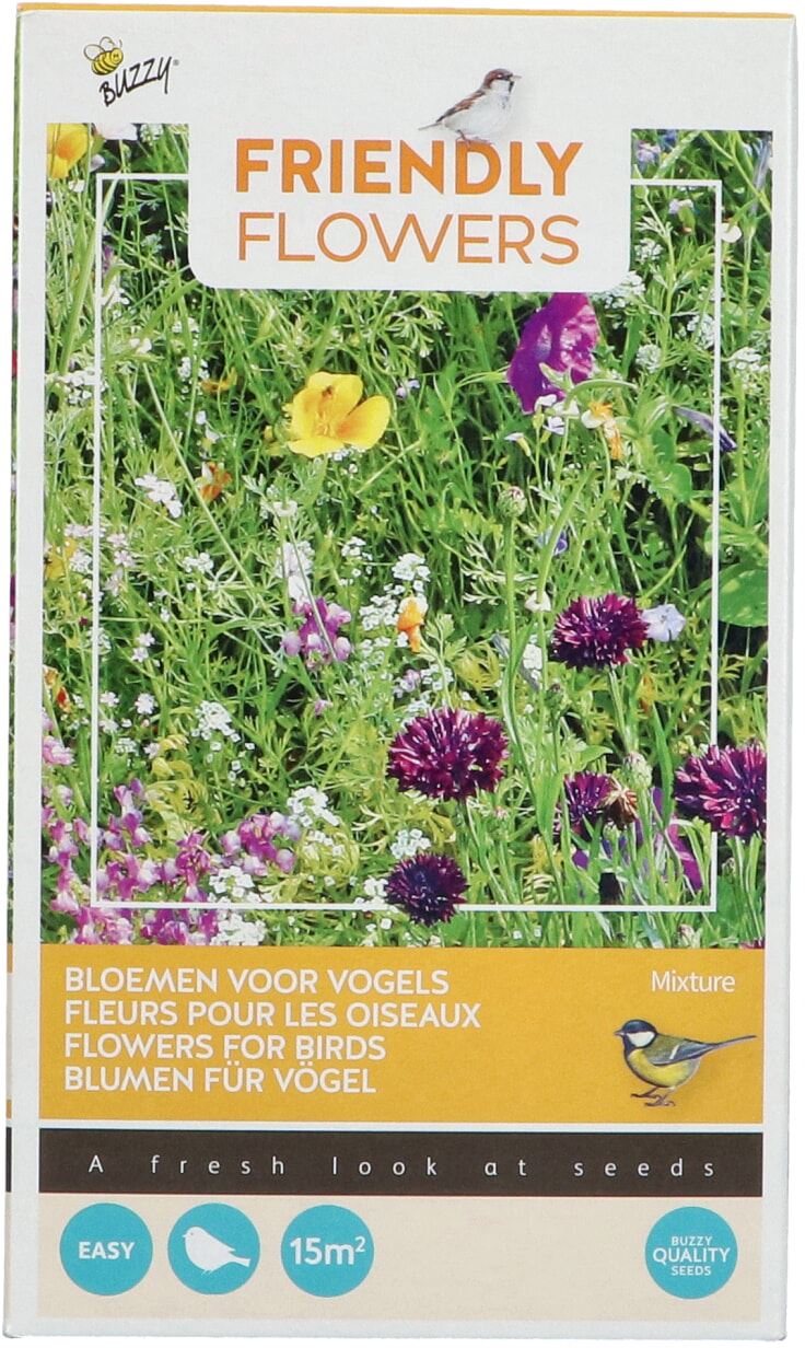 Buzzy-Friendly-Flowers-Vogels-15m-16-