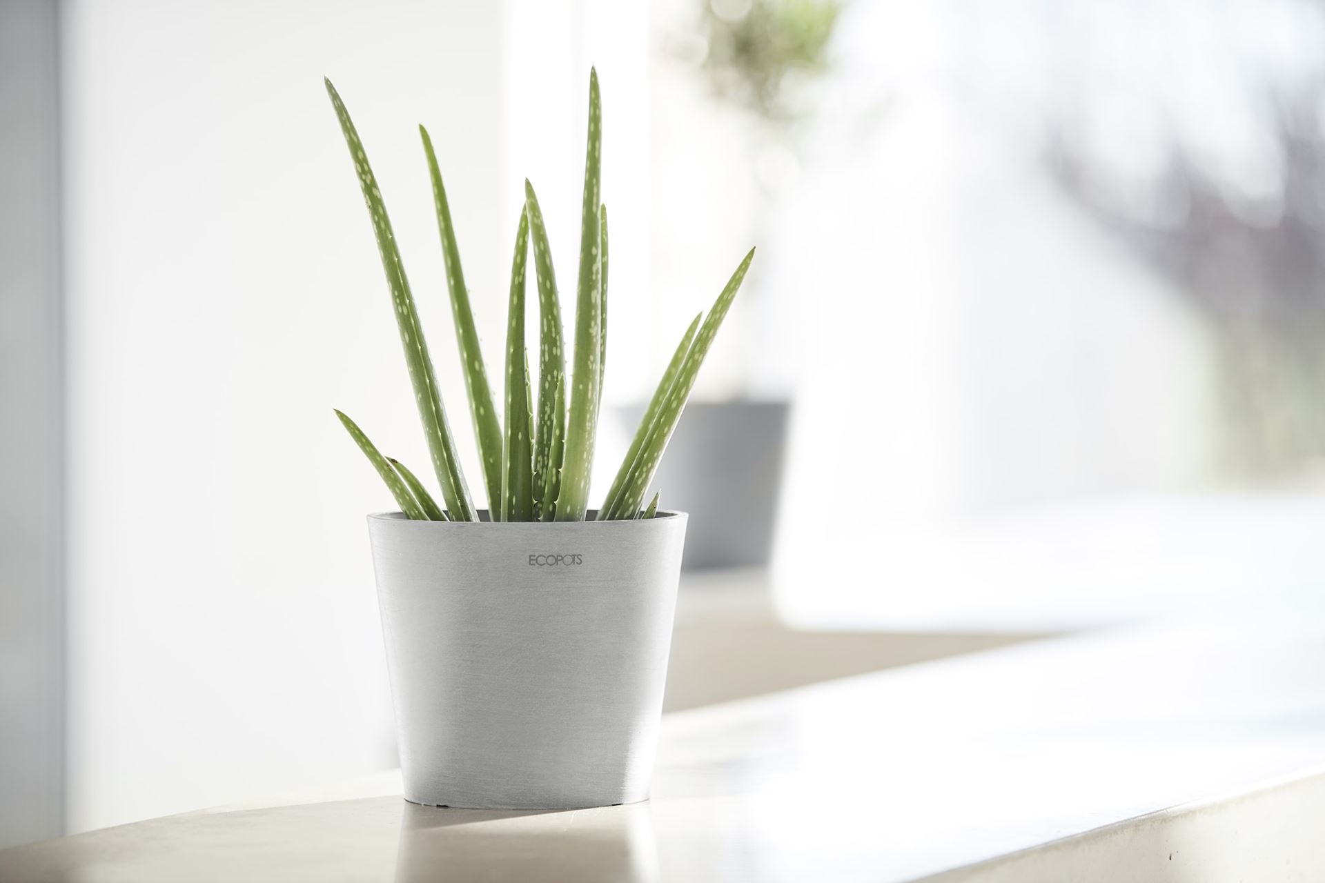 Ecopots-amsterdam-mini-white-grey-17-cm-H14-9-cm