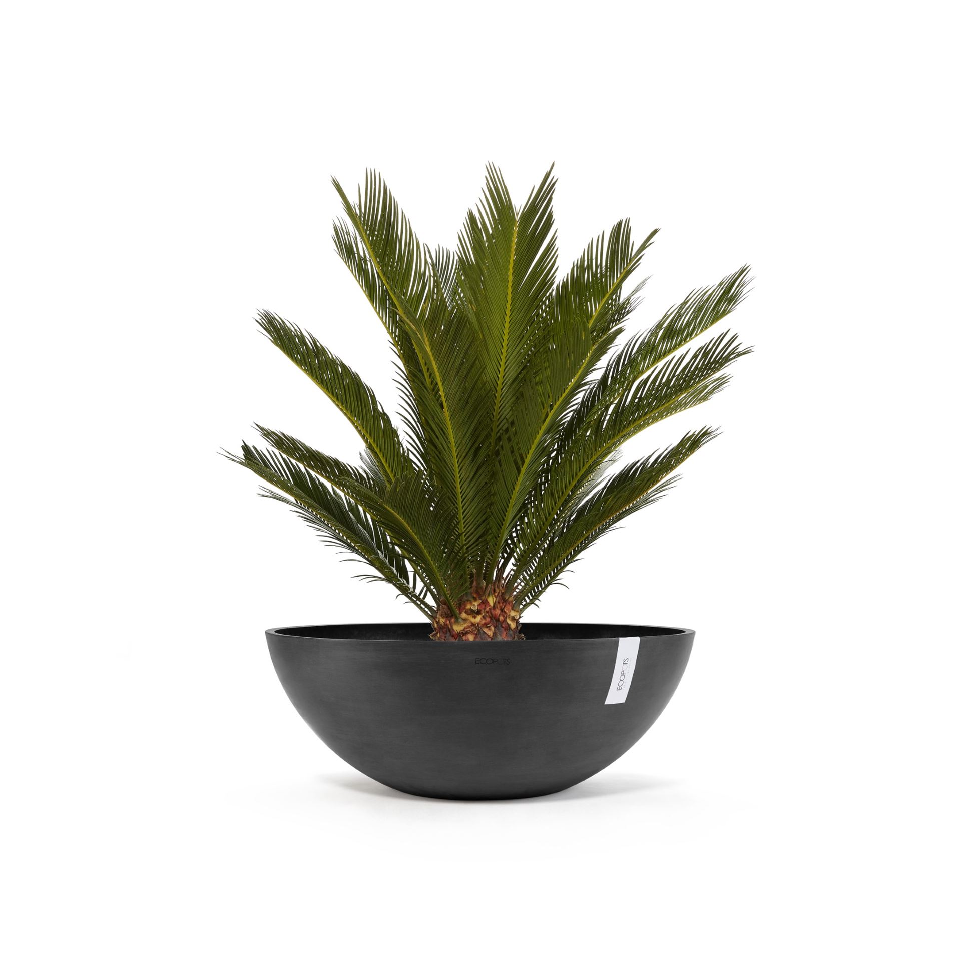 Ecopots-vienna-dark-grey-70-cm-H25-2-cm