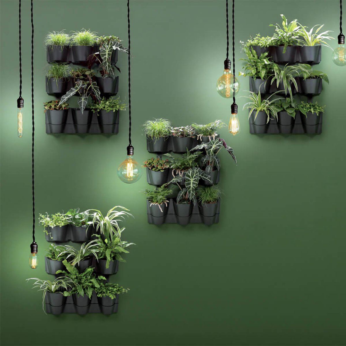 Top Kamerplanten voor je Zonnige Vensterbank: Groei en Zorgtips Top Kamerplanten voor je Zonnige Vensterbank: Groei en Zorgtips