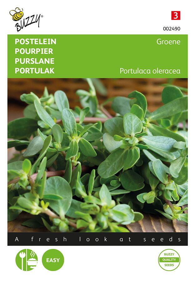 Buzzy-Postelein-Groene
