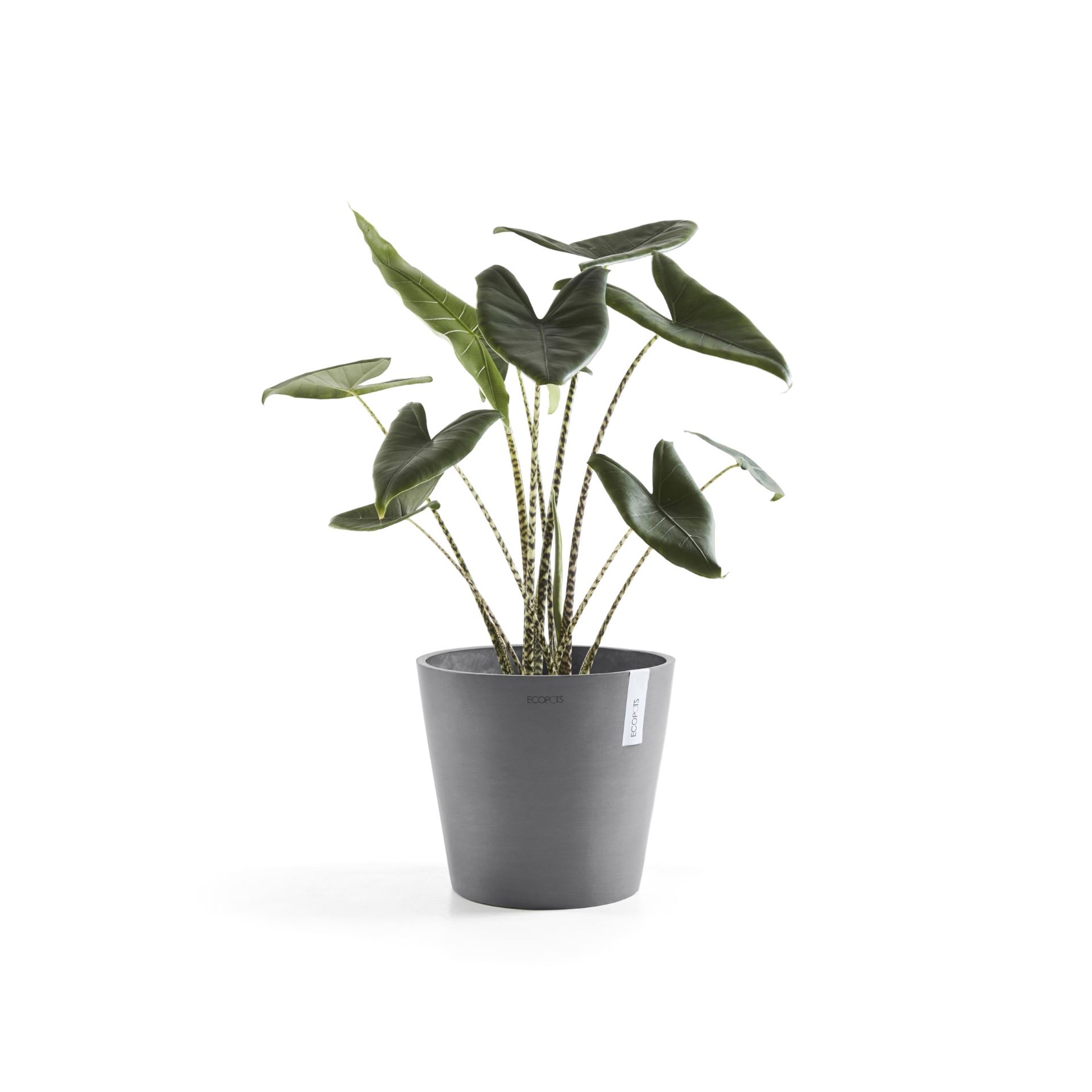 Ecopots-amsterdam-grey-30-cm-H26-3-cm