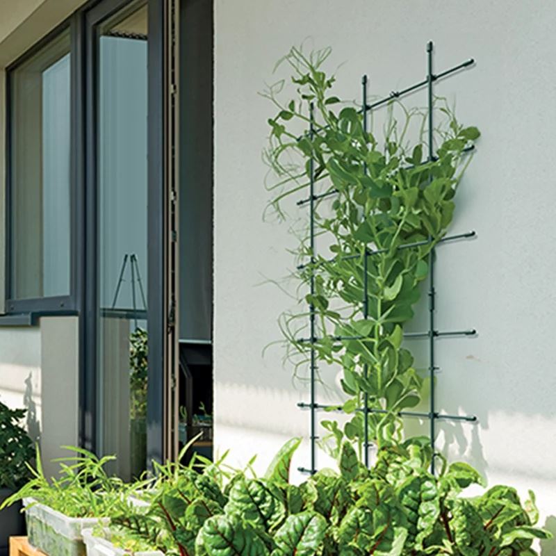 Plant-support-IFLS3-Floo-Supports-forest-green