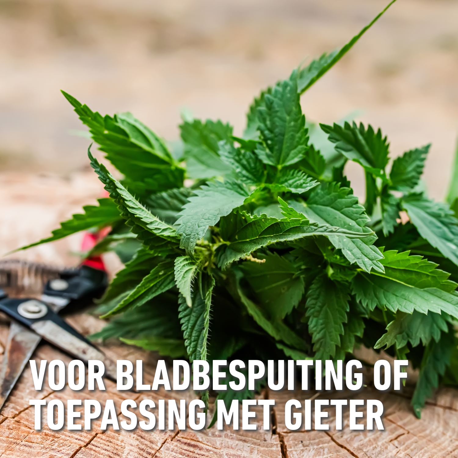 Compo-bio-brandnetelgier-1-5L