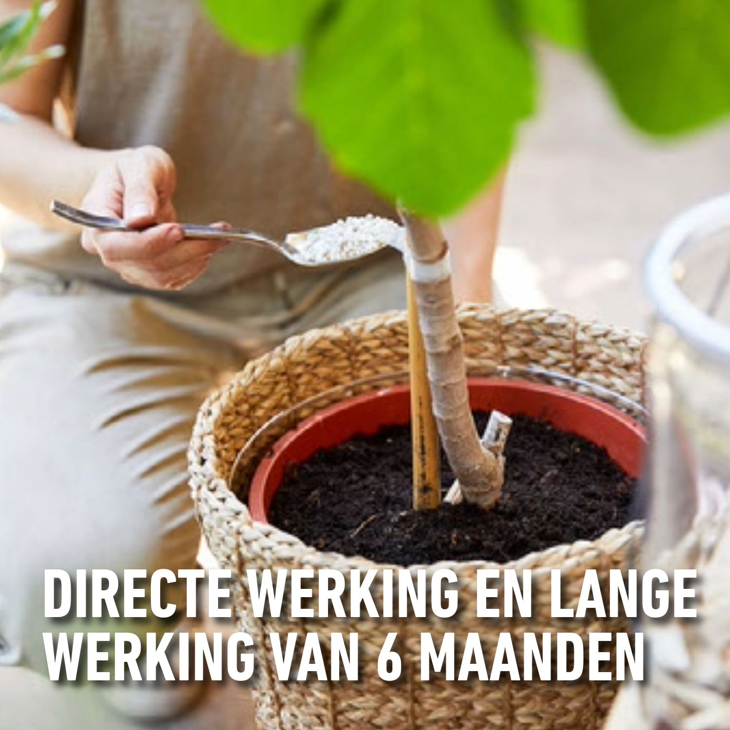 Mestsof-Mediterrane-Planten-2KG