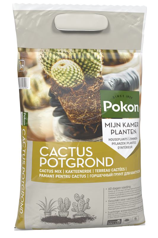 Pokon Terreau Cactus 5L - Terreau pour plantes d'intérieur - Convient aux cactus et aux succulentes - Aéré - 60 jours de nutrition