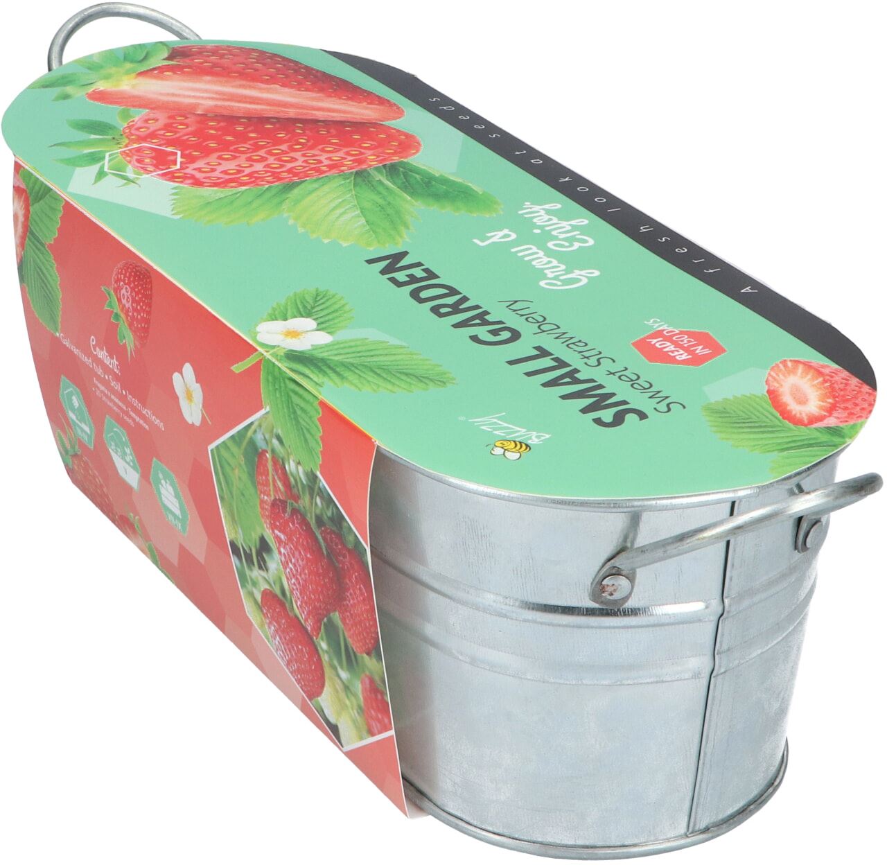 Buzzy-Small-Garden-Sweet-Strawberry