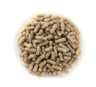 Famiflora Premium Pond Sticks fish food 15L / 2.5KG - Fish food for koi and ornamental fish