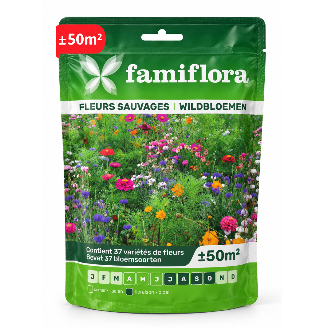 Mélange de fleurs sauvages Famiflora graines de fleurs - jusqu'à 50m²