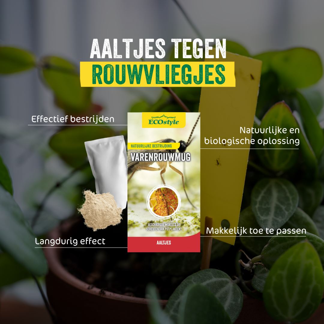 Aaltjes-F-tegen-larven-varenrouwmug-25-mln-25-m-