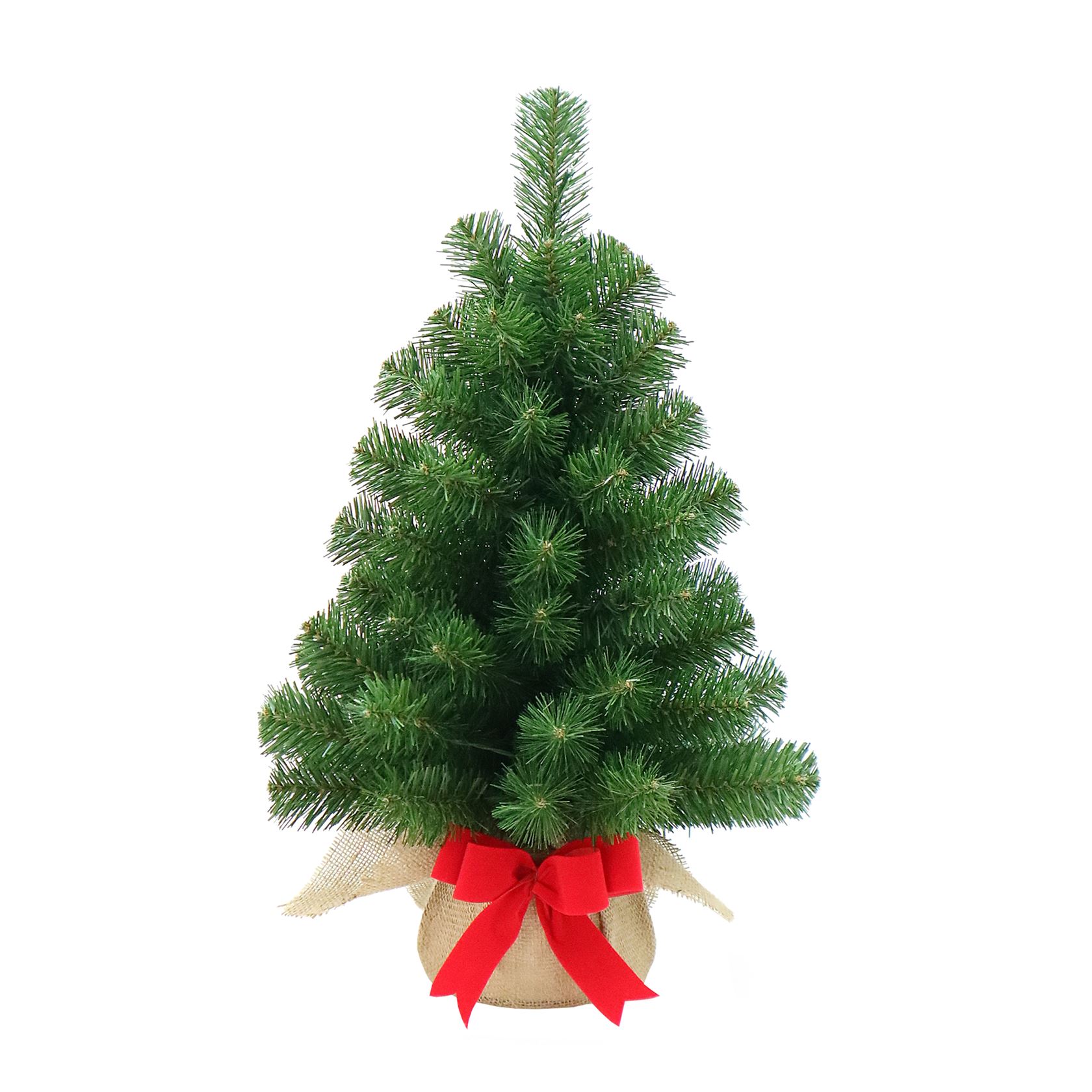 New-Noble-Spruce-Tree-with-Burlap-Bag-h61cm