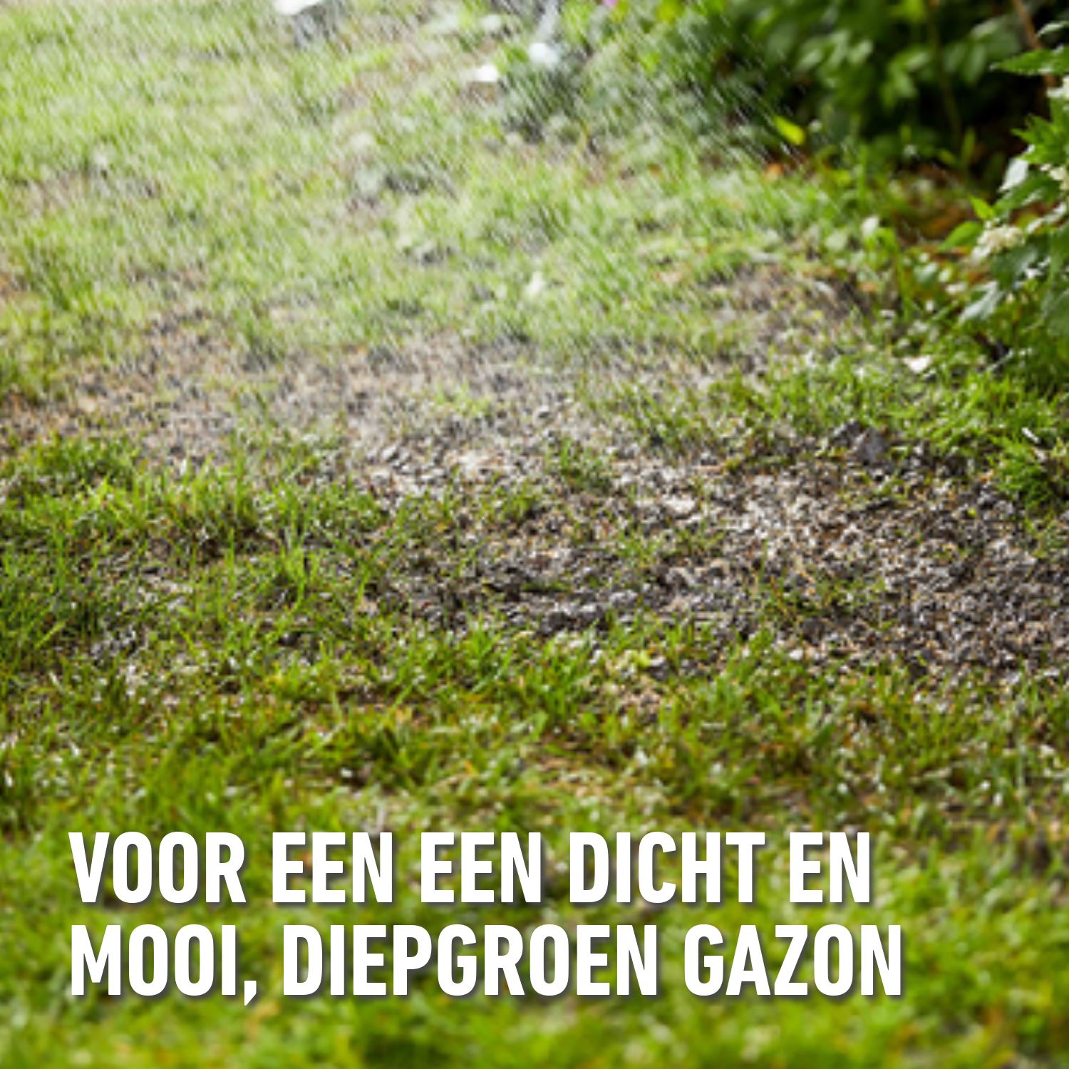 Compo-gazonzaad-sport-spel-promo-4kg