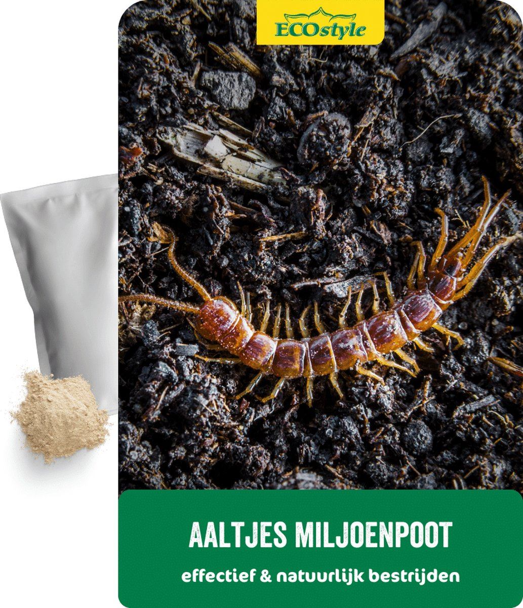 Aaltjes-FC-tegen-miljoenpoot-10-mln-60-m2