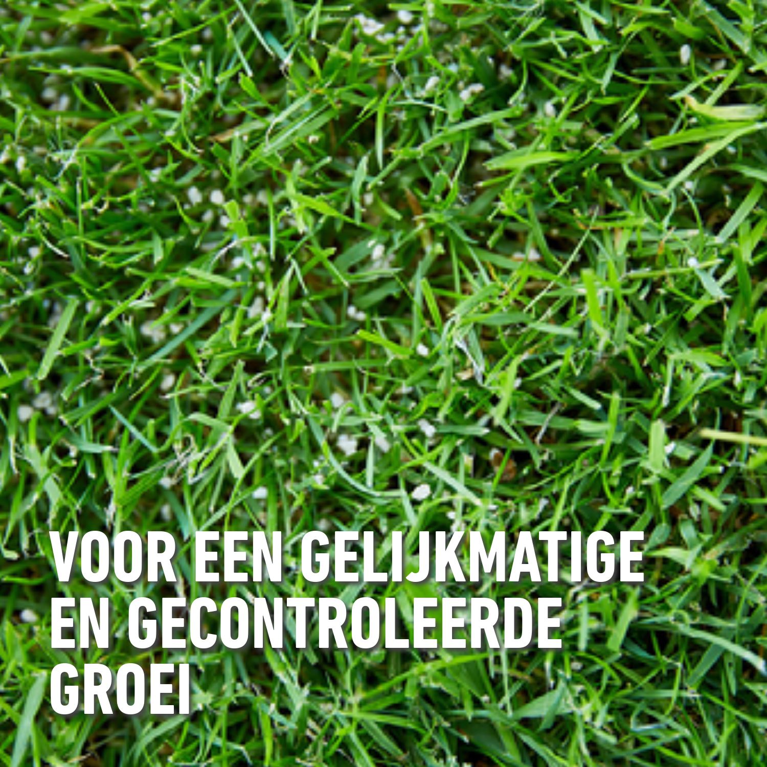 compo-gazonmeststof-met-lange-werking-50m-gratis-12-KG