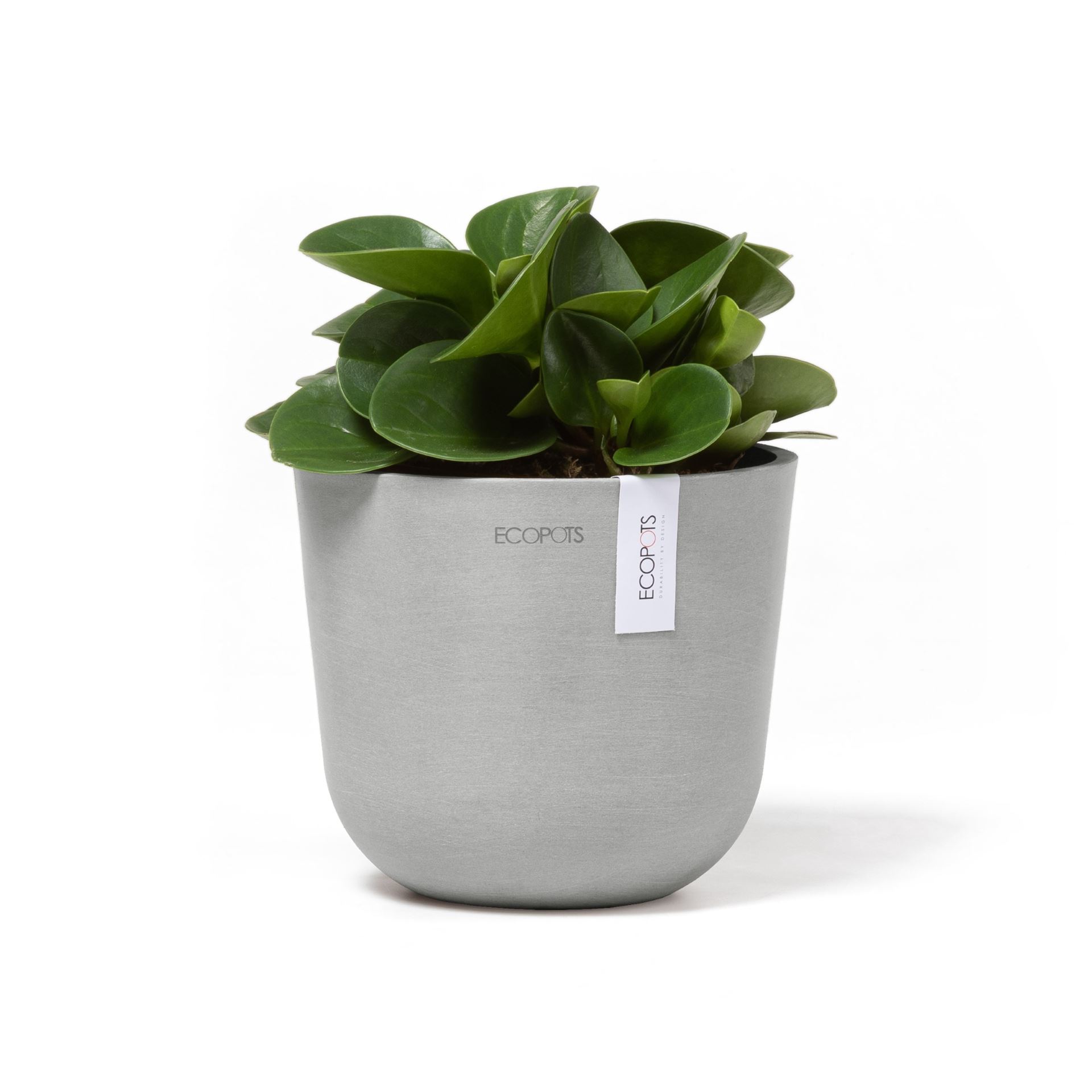 Ecopots-oslo-mini-white-grey-16-cm-H13-cm