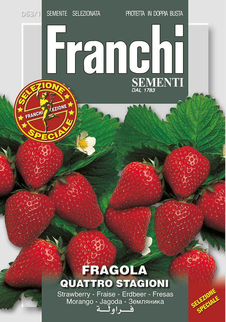 Franchi Sementi Aardbei zaden - Fragola Quatro Stagioni 