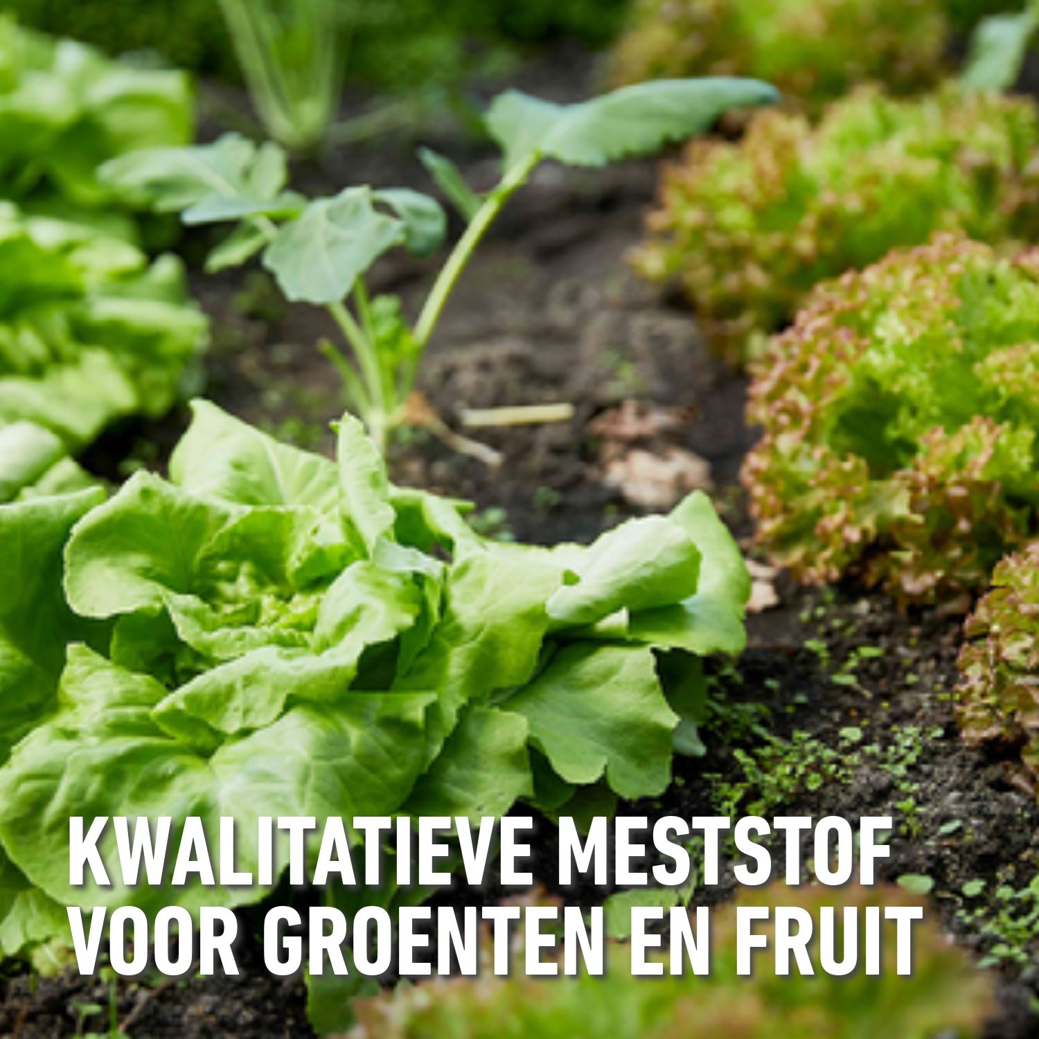 Compo-universele-meststof-blauw-novatec-2kg