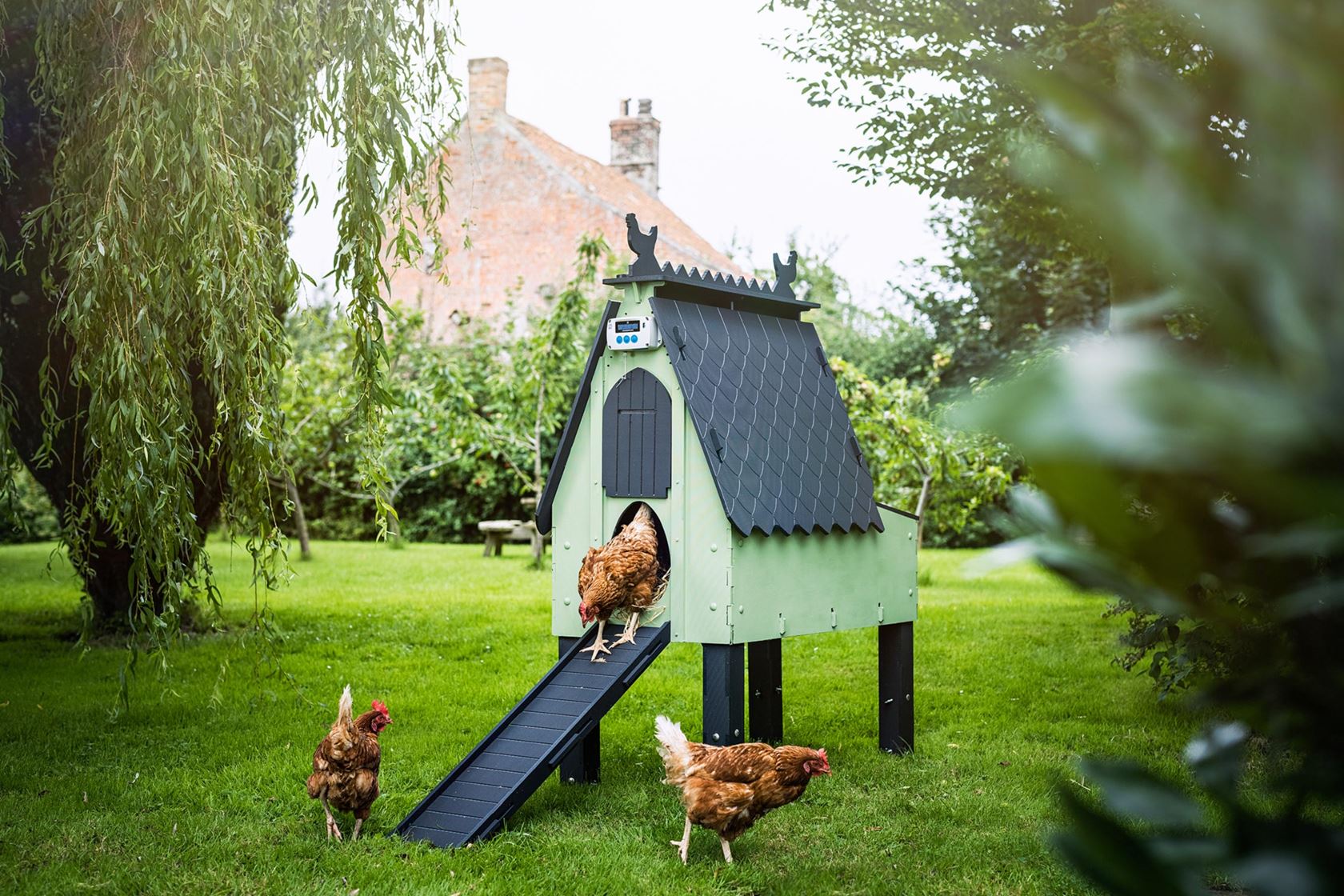 Chickenguard-automatische-hokopener-Standaard-met-timer