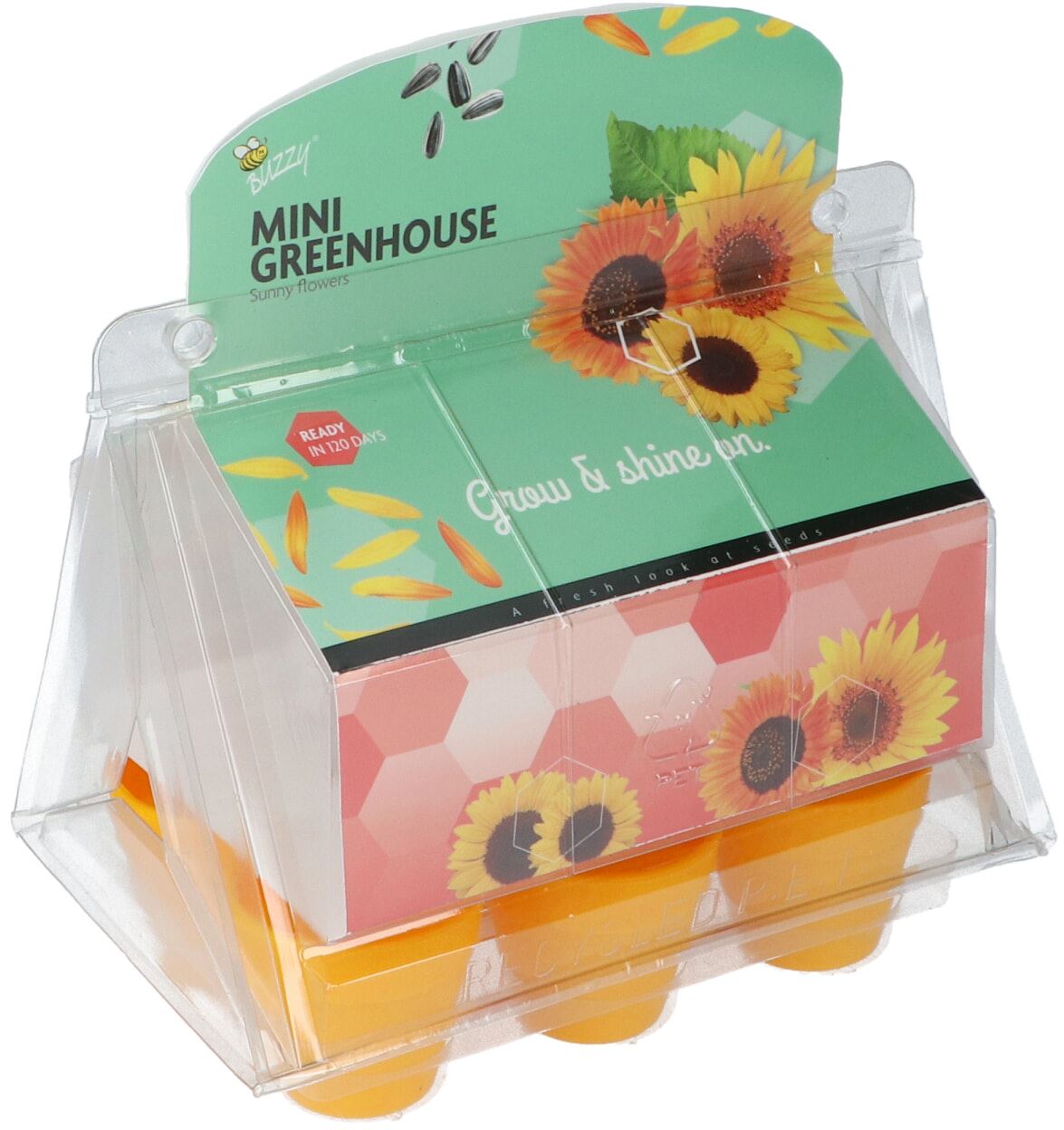 Buzzy-Mini-Greenhouse-Sunny-Flowers-8-