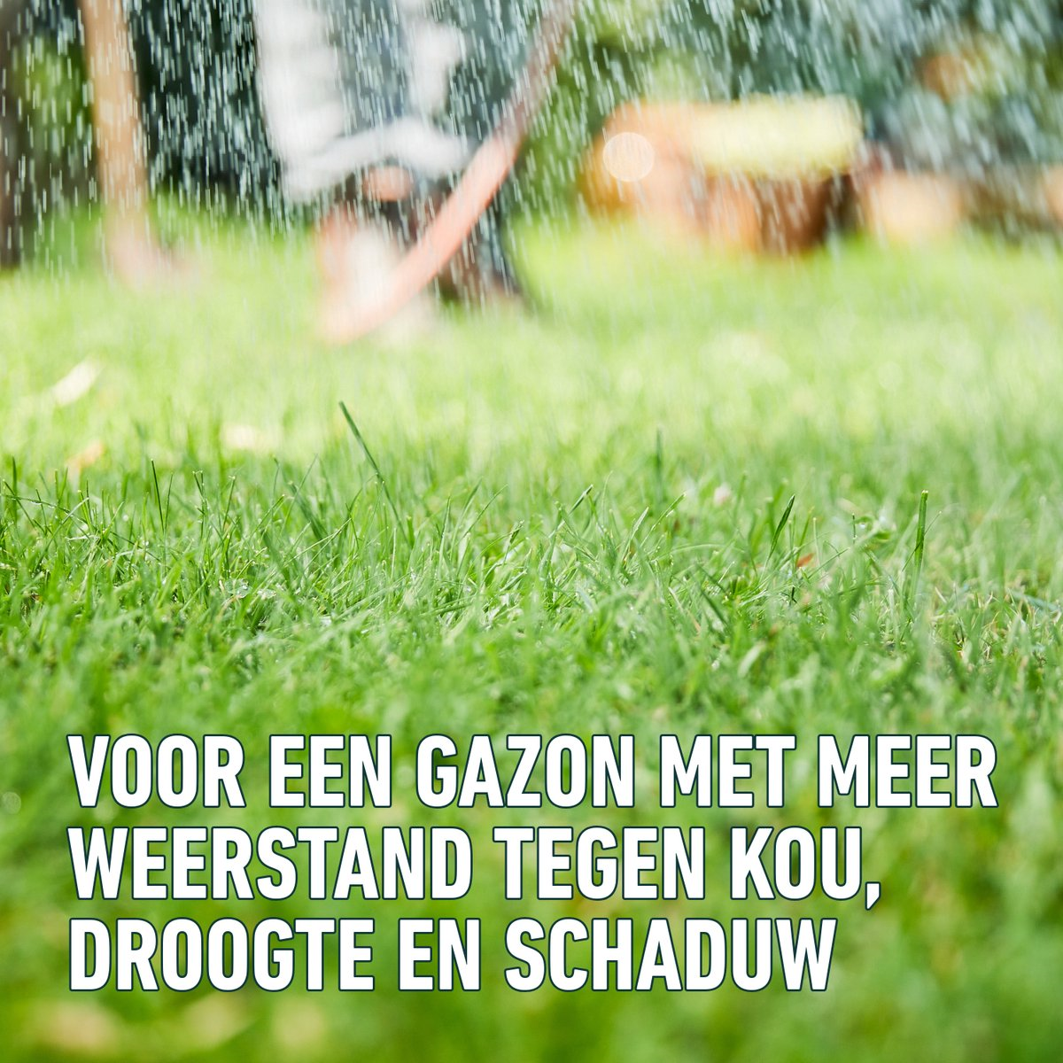 Compo graszaad 1,2 kg voor 6 m² - Complete Mix - herstel van sterk beschadigde gazons - 4 in 1 : graszaden, potgrond, meststof + kalk - snelle kieming