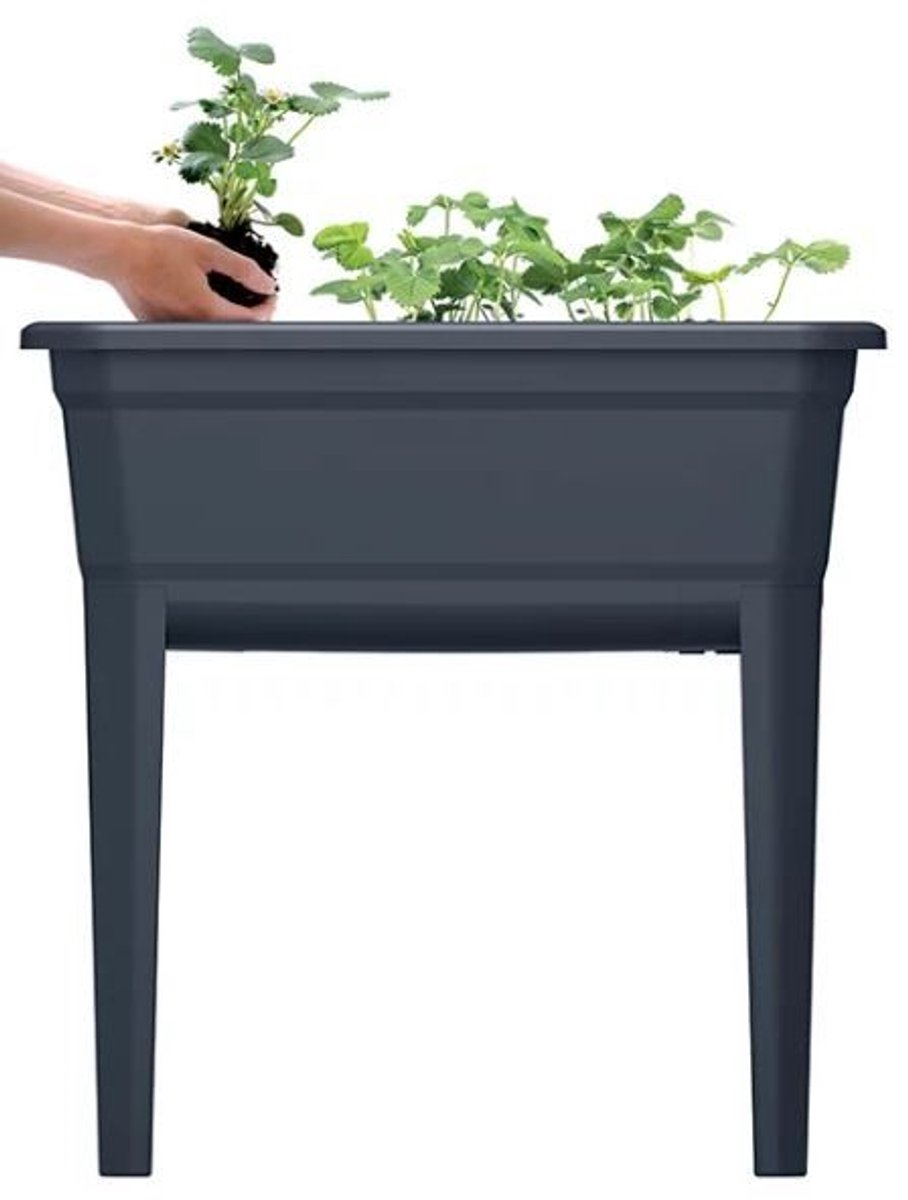 Prosperplast Respana Planter Ecoline Growing Table - Anthracite - 75 x 37 cm - With Lid
