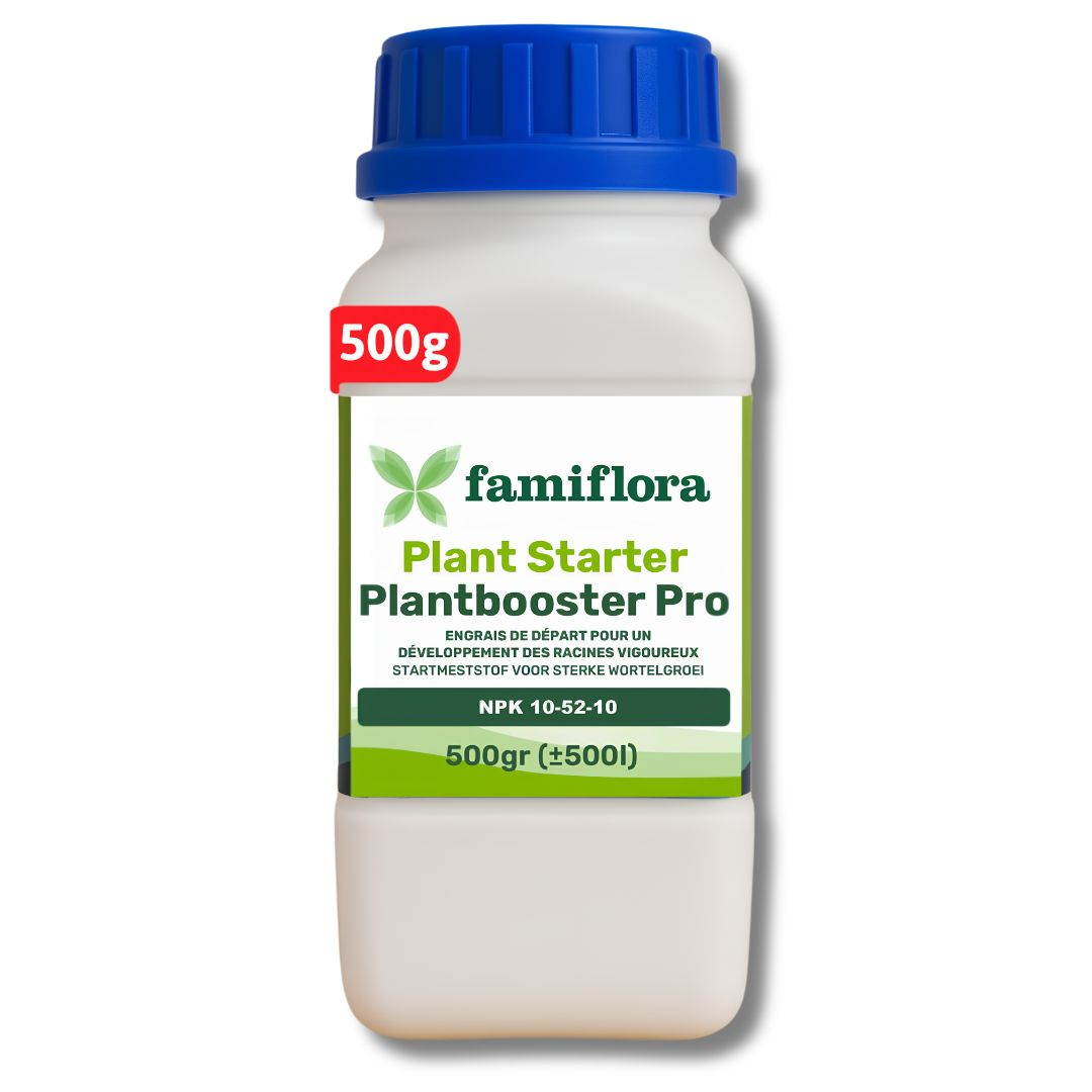 Famiflora engrais pour plantes d'intérieur et d'extérieur - Plant Starter - 500 g