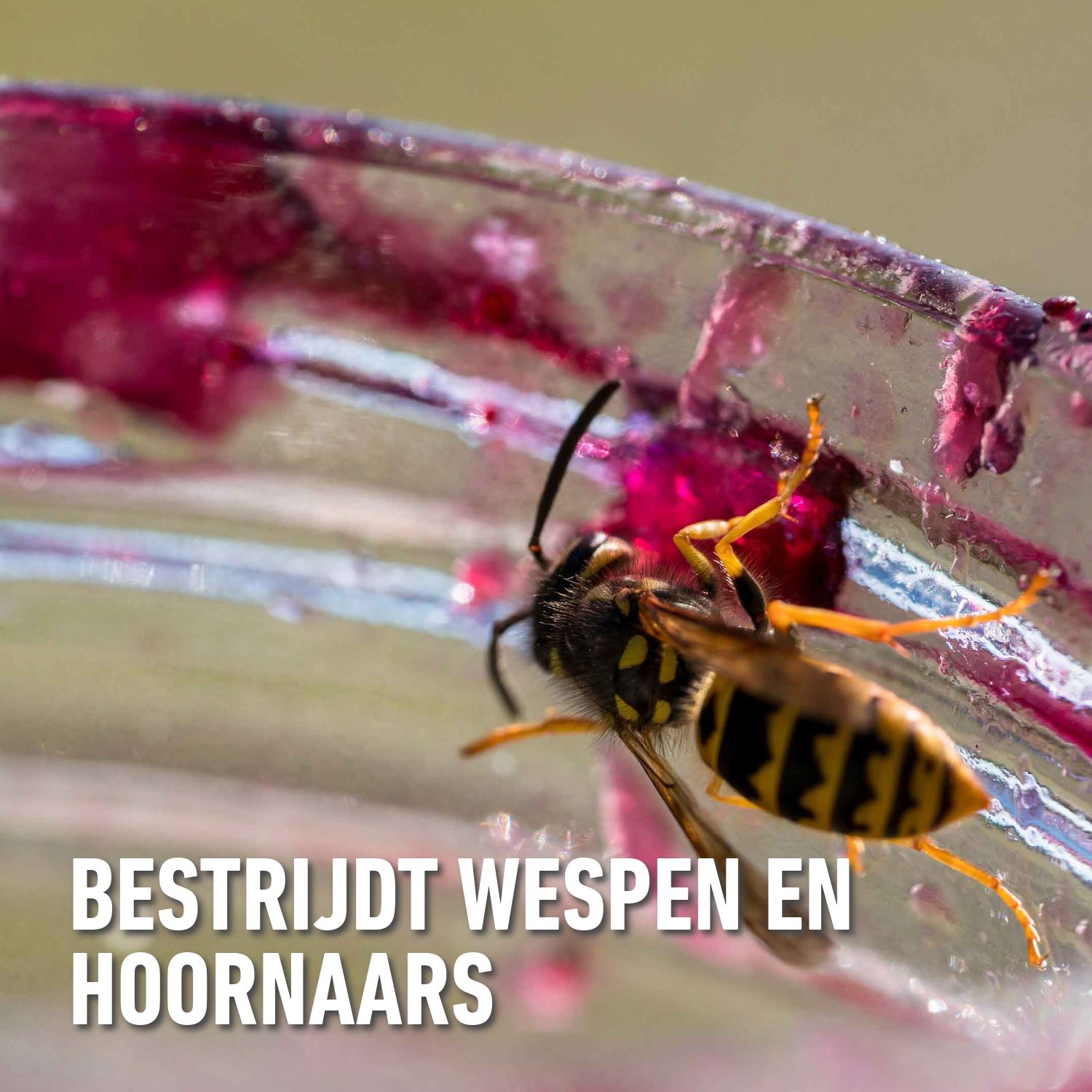 Barriere-insect-k-o-power-spray-wespen-500ml