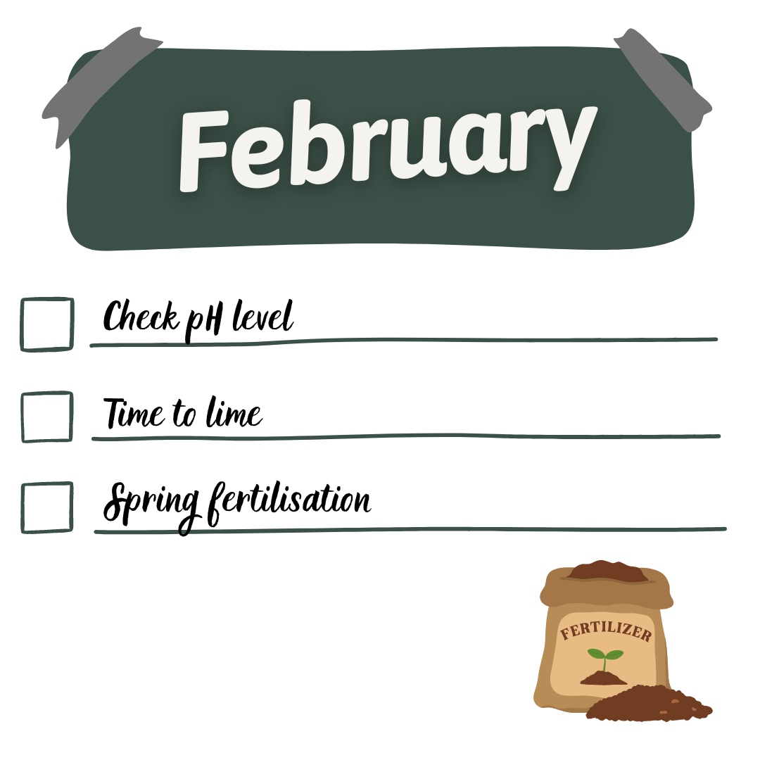 lawn calendar february