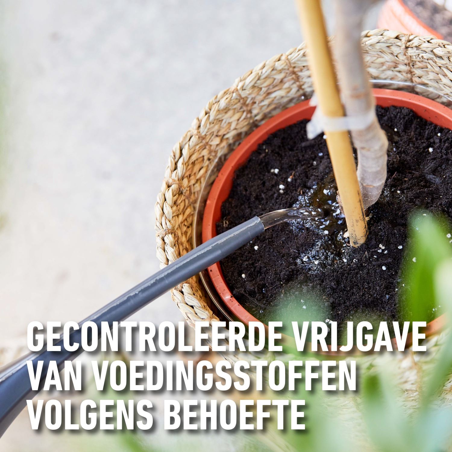 Mestsof-Mediterrane-Planten-2KG