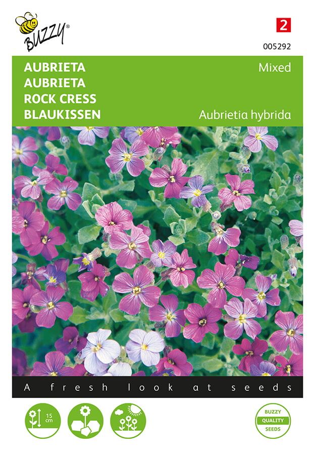 Buzzy-Aubrieta-Grandiflora-gemengd